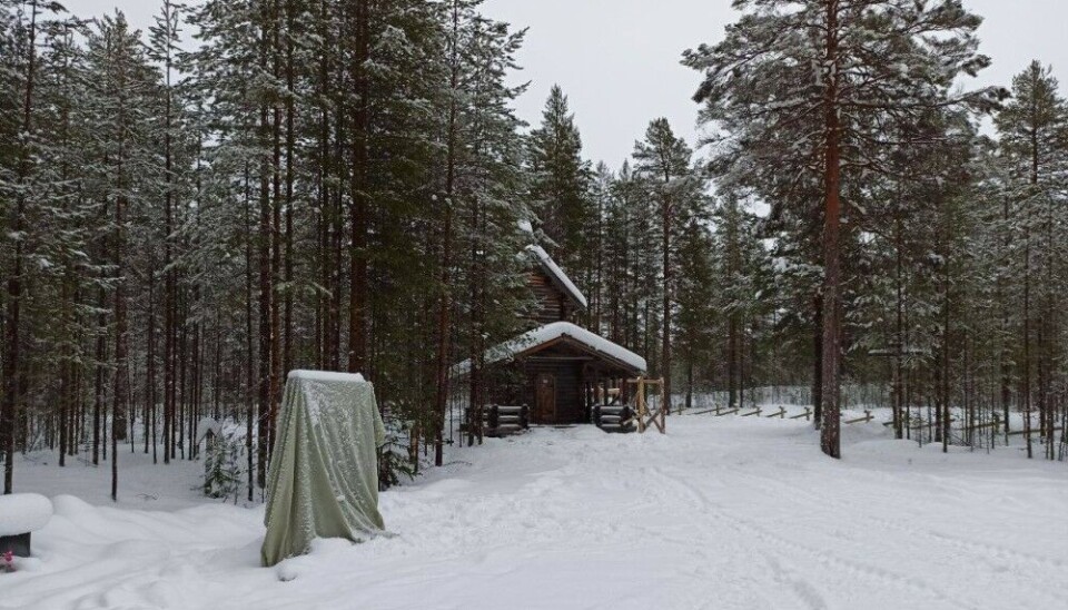 Стела в Сандармохе. Фото: 'Отражение. Карелия'