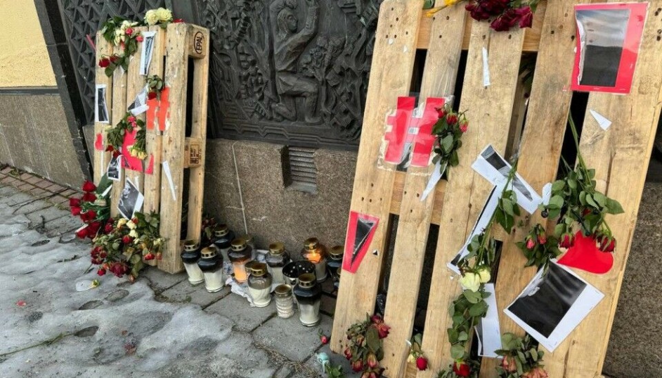 Фото: Олеся Кривцова