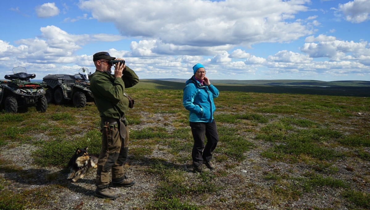 Miners hunting for metals to battery cars threaten Sámi reindeer herders' homeland