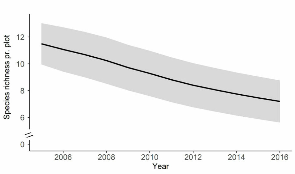 The Arctic is greening, bird populations are declining: Is there a link?