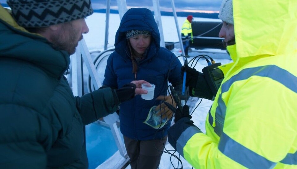 Microbiologists collecting and analysing water samples from the borehole. L-R Marek Stibal, Petra Klímová, Lia Wentzel. Photo: Henry Patton