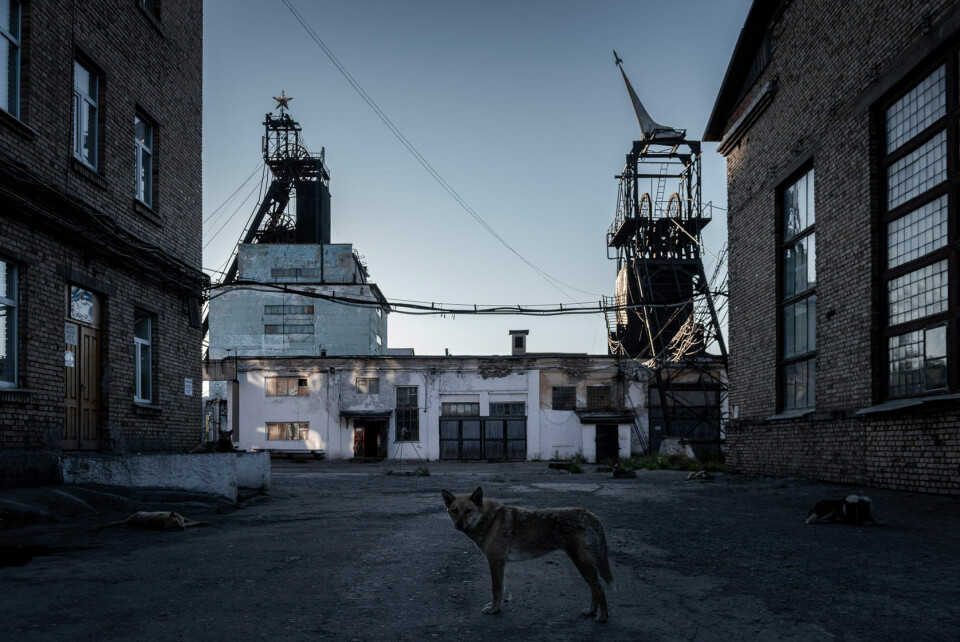 Photo: Kirill Shuchalin, 7x7-journal