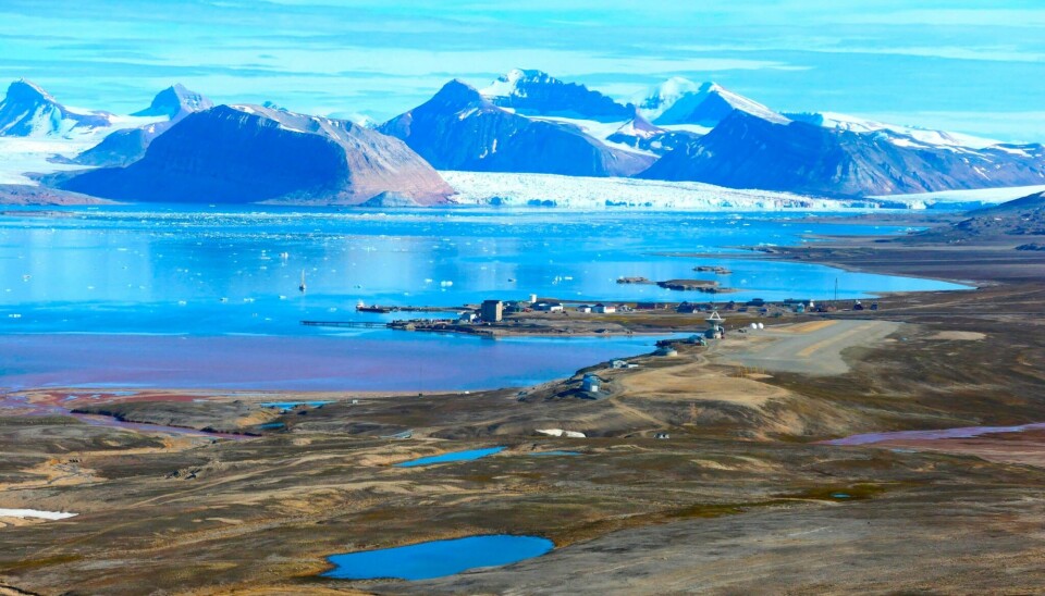 Five decades of terrestrial research in Ny-Ålesund, Svalbard