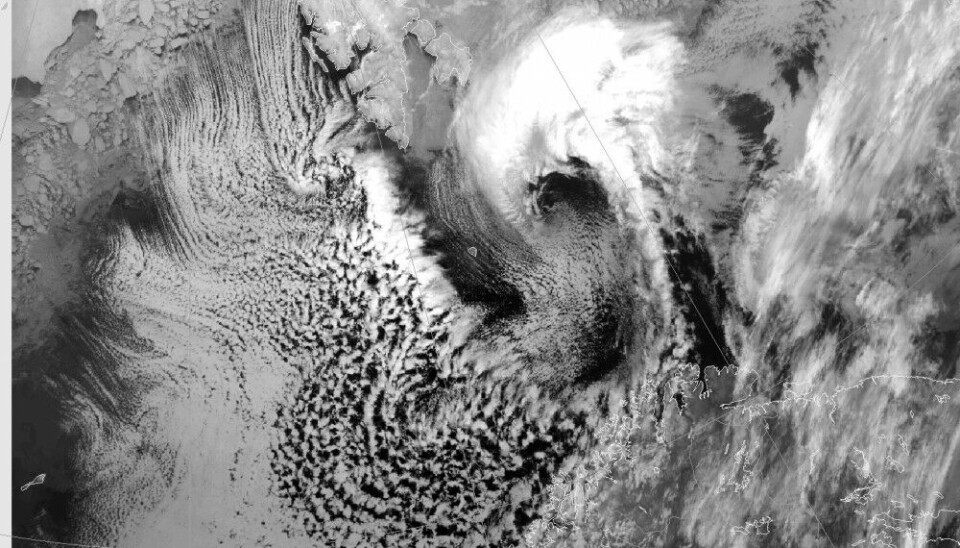 A satellite image of a polar low in the southern Barents Sea on 25 April 2022. Image: Norwegian Meteorological Institute