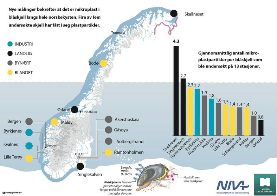 Microplastics found in blue mussels at the 13 sampling locations along the coast of Norway. Skallelv in Finnmark had the highest amount. Illustration by NIVA and the Norwegian Environmental Agency