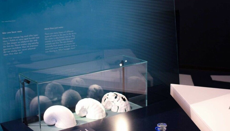 Every module is a combination of digital and analogue. The digital side contains pictures, texts, games, and puzzles, and the analogue side shows different artifacts related to the various species. Photo: Anne Ragnhild Fause / Polaria.