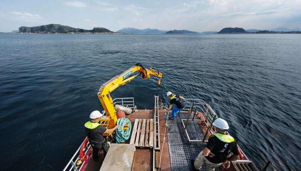 The partners have carried out coastal mapping of three areas by using research vessels such as RV Seisma. Photo: Geir Mogen / Geological Survey of Norway