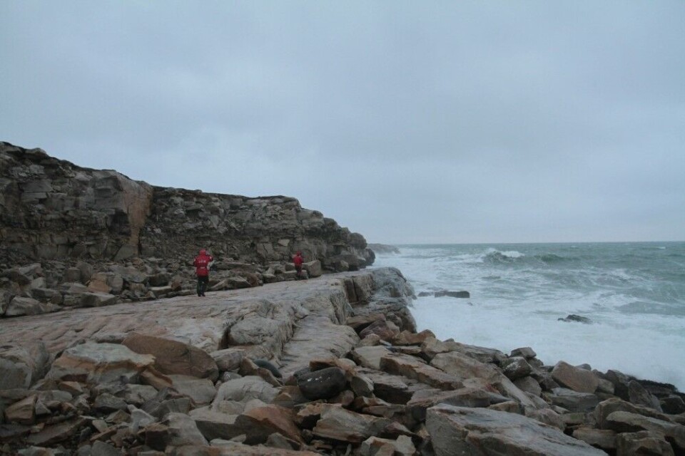 Skallneset near Vardø on the Barents Sea coast. Photo: Oddbjørn Jerijærvi