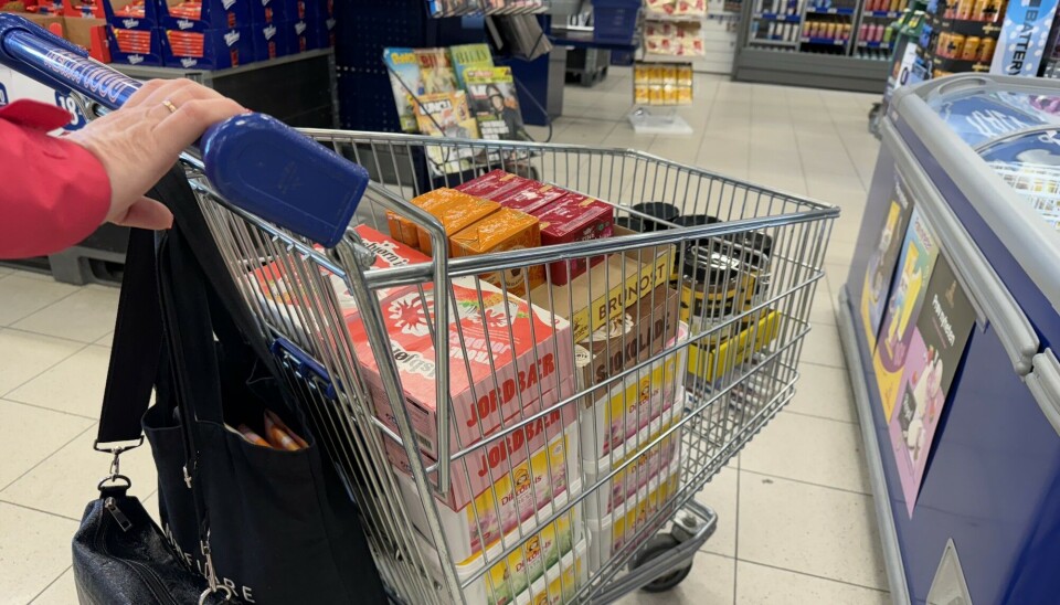 Galina from Murmansk bought a lot of ice-cream and cheese in REMA 1000 store. She travels to Kirkenes every week on a bus. Photo: Elizaveta Vereykina