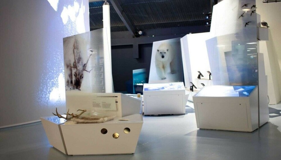 In Polaria’s “Food Web” we encounter several arctic animals in their habitats. We want to show our guests that all species are important, and that everything is connected, directly or indirectly.Photo: Anne Ragnhild Fause / Polaria.