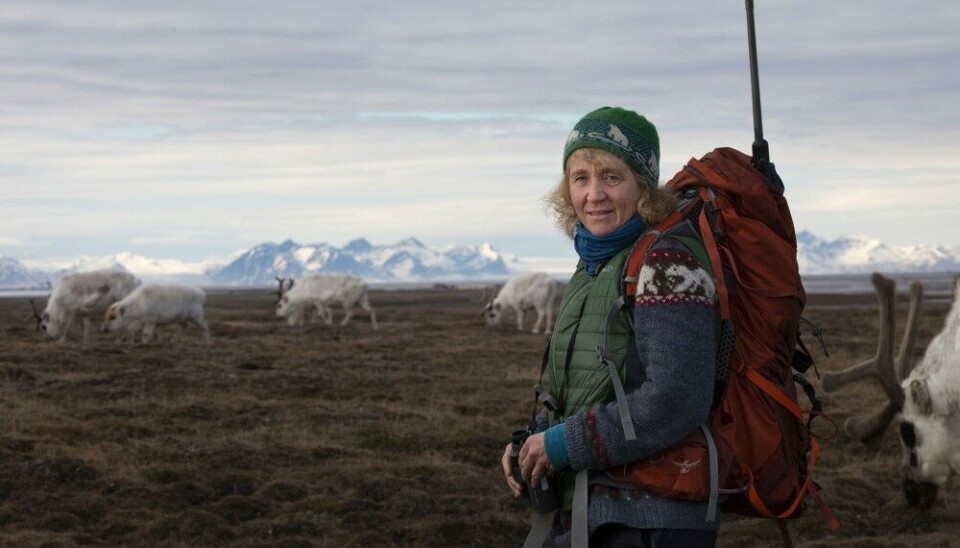 “Each season of fieldwork poses new challenges related to climate change,” says researcher Åshild Ønvik Pedersen. Photo: Marte Visser
