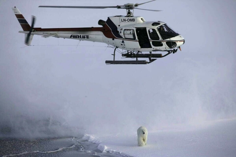 Population changes in polar bears: protected, but quickly losing habitat