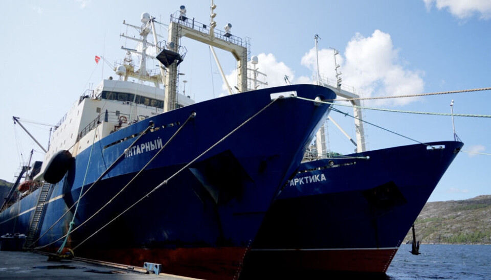 Ship “Yantarny” (on the left) docked in the harbour of Kirkenes. Photo by: Elizaveta Vereykina