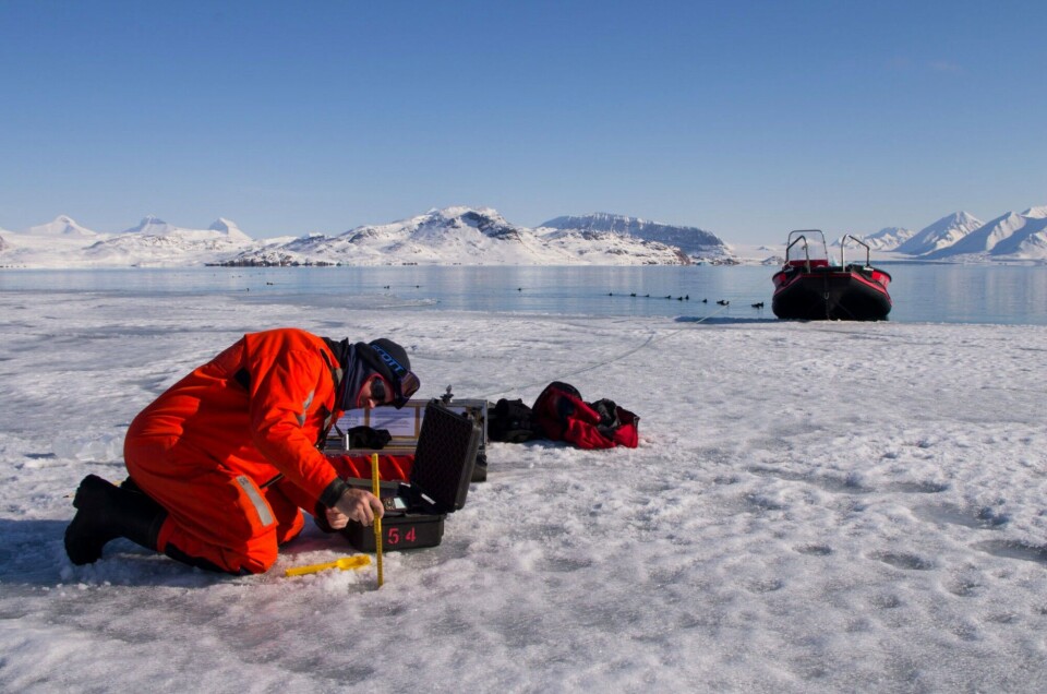 Kongsfjorden sea ice development observed from ground, air and space