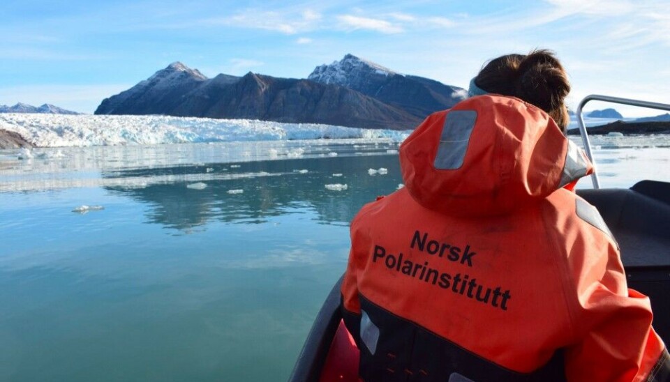 France Collard looking for fulmars in Kongsfjorden. Photo: Felix Tulatz / Norwegian Polar Institute