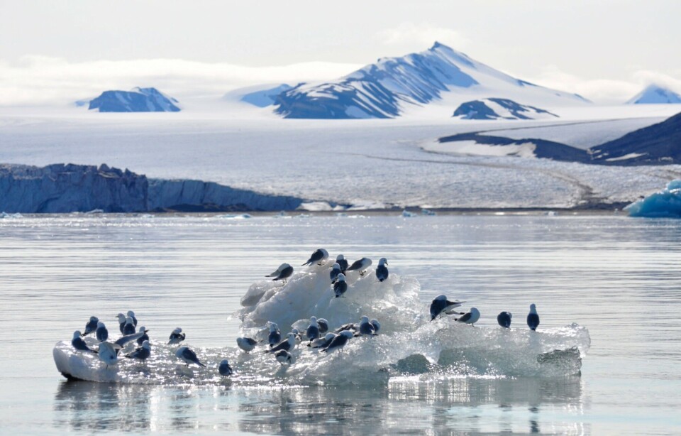 How to COPE? Contaminant–climate change interactions in the Arctic