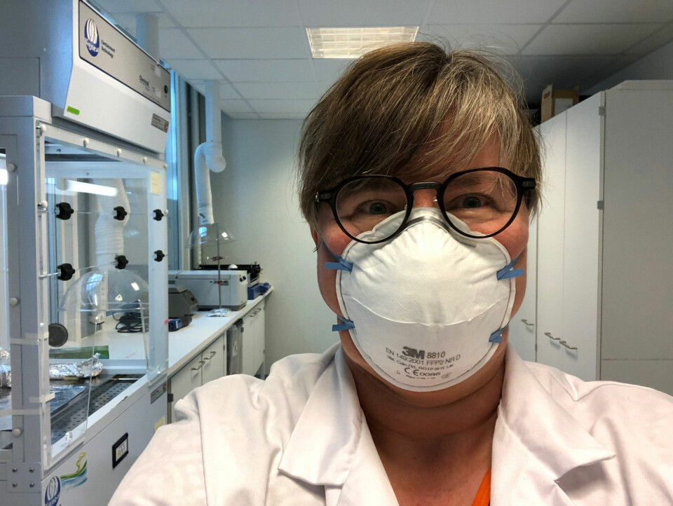 Laboratory activities at the Fram Centre have largely been maintained under the various transmission-control regimens in 2020 and so far in 2021.“We’ve been working under a strict set of rules,” says Linda Hanssen, senior researcher and head of the Environmental Chemistry Department at NILU – Norwegian Institute for Air Research at the Fram Centre. “Those who can work from home have done so, of course, but it’s not possible to take a laboratory like ours home with you. The fact that some staff are working from home has freed up more space in the facilities and enabled us to comply with the social distancing and hygiene rules.” Photo: Linda Hanssen.