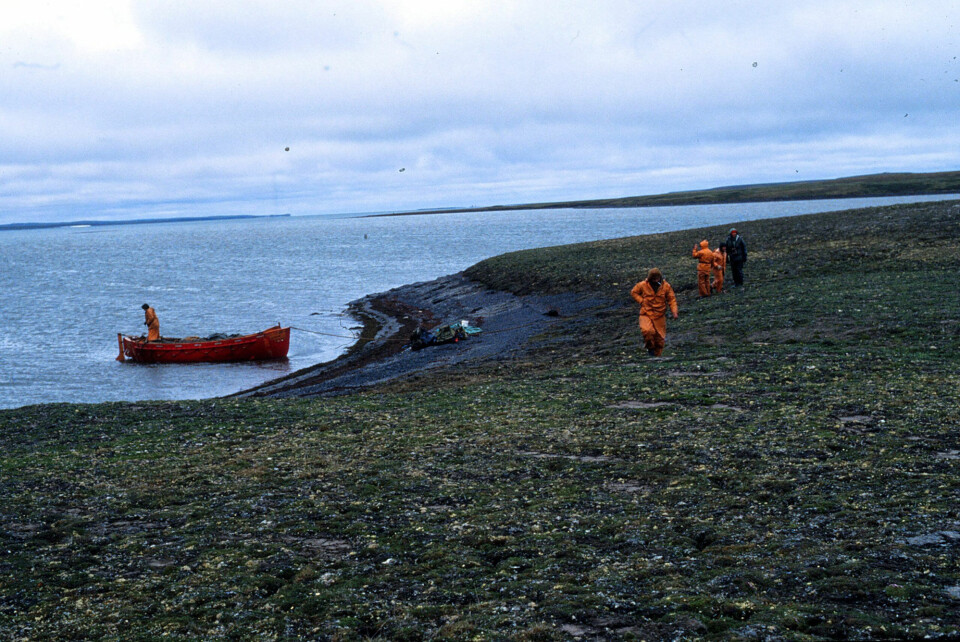 Landing in Guba Chernaya to collect terrestrial samples for analysis of contaminants. Photo: Salve Dahle/Akvaplan-niva
