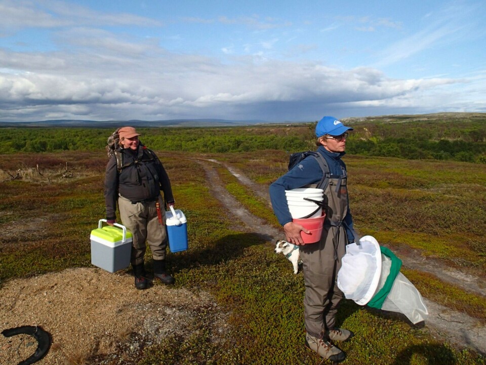 Natural scientists’ workday involves a lot of carrying. Jenny Jensen (Akvaplan-niva) and Antti Eloranta (University of Jyväskylä, Jyväskylä, Finland). Photo: Kathy Dunlop