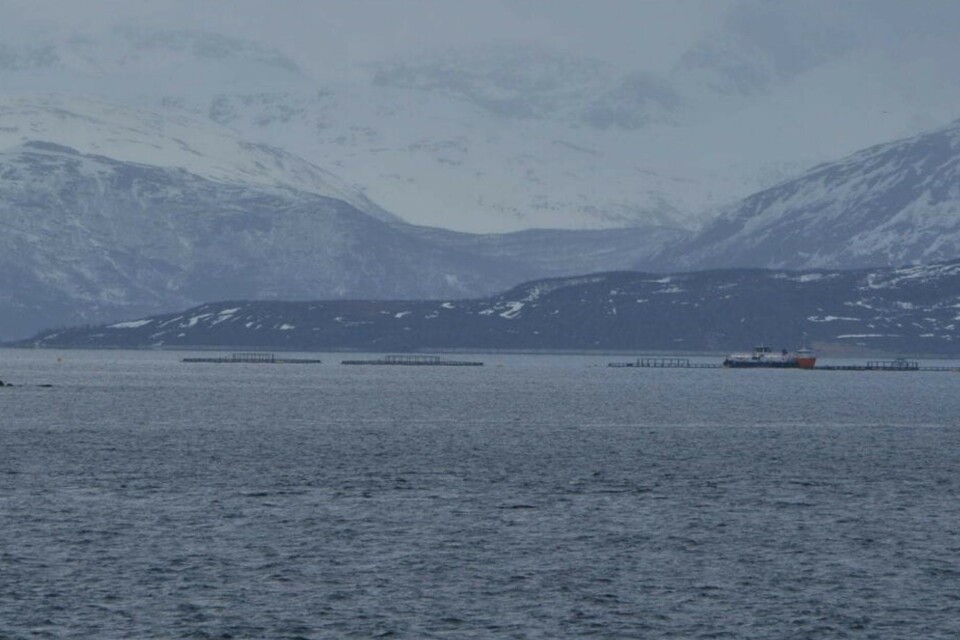 Passive sampling detects salmon louse pesticides and hydrogen sulphide: 50 shades of grey