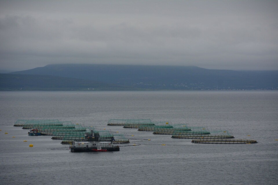 Photo: Atle Staalesen