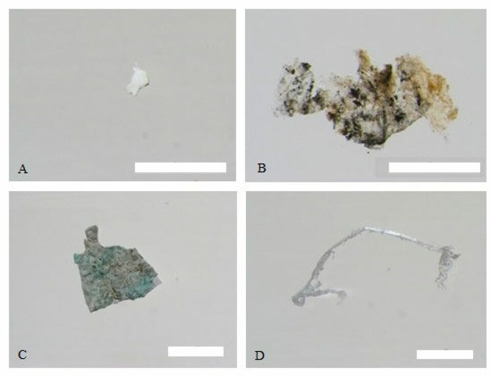 Examples of microplastics isolated from water samples using spectroscopy. A) white PVC fragment; B) degraded polyethylene fragment; C) grey/blue polyethylene fragment; D) transparent polyamide fragment. Scale bars = 1mm. From Morgana et al. 2018, Environm