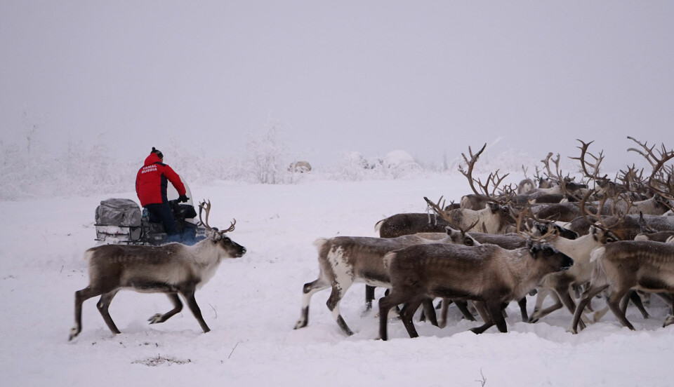 Photo: Atle Staalesen