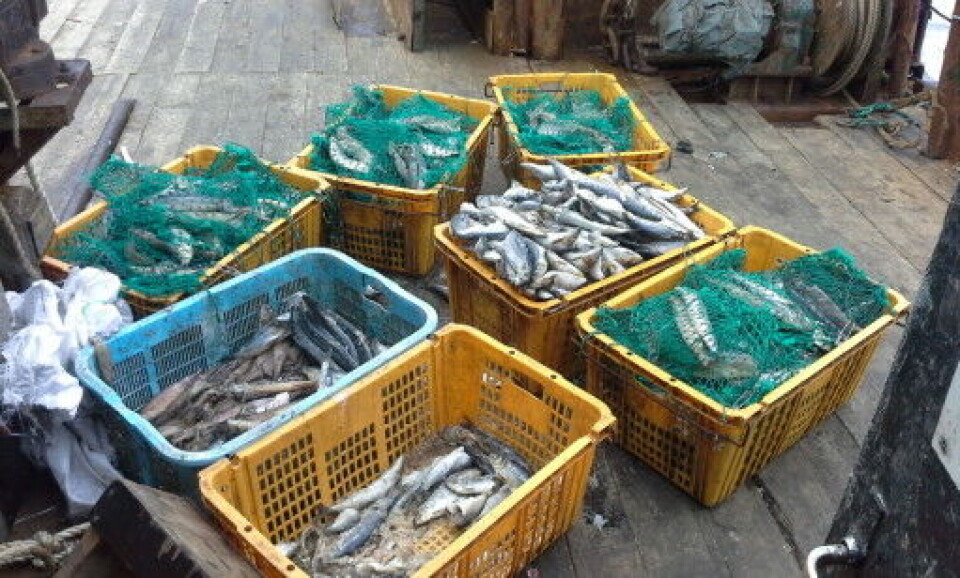 HAD TO EAT BAIT: Sometimes there was so little food onboard that the crew had to eat bait.