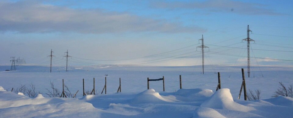 Transmission lines between Murmansk and Teriberka. Photo: Atle Staalesen