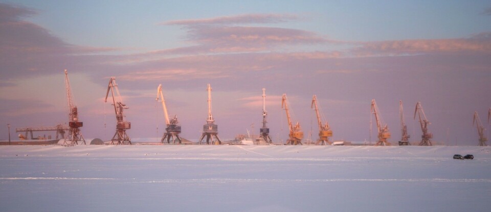 Cranes along great river of Ob. Photo: Atle Staalesen