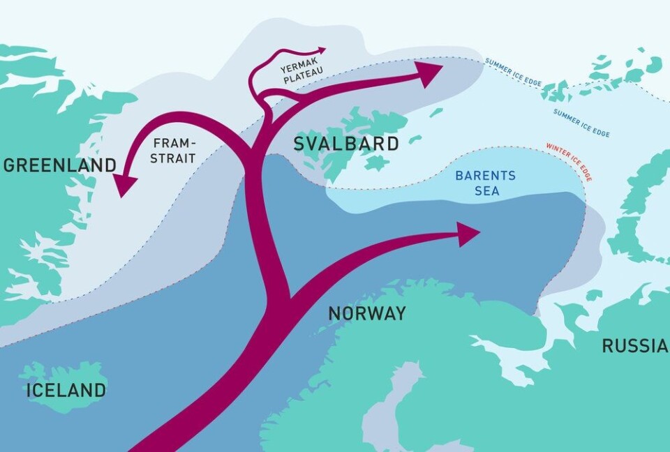 Warm water flowing north from the Atlantic Ocean splits into several branches. A large part follows the seafloor topography north of Svalbard to the east and continues into the Arctic Ocean.All ill.: (Reibo/Sundfjord/Renner/Fram Centre):