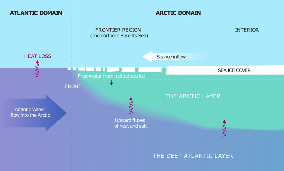Illustration: Reibo/Sigrid Lind, Institute of Marine Research