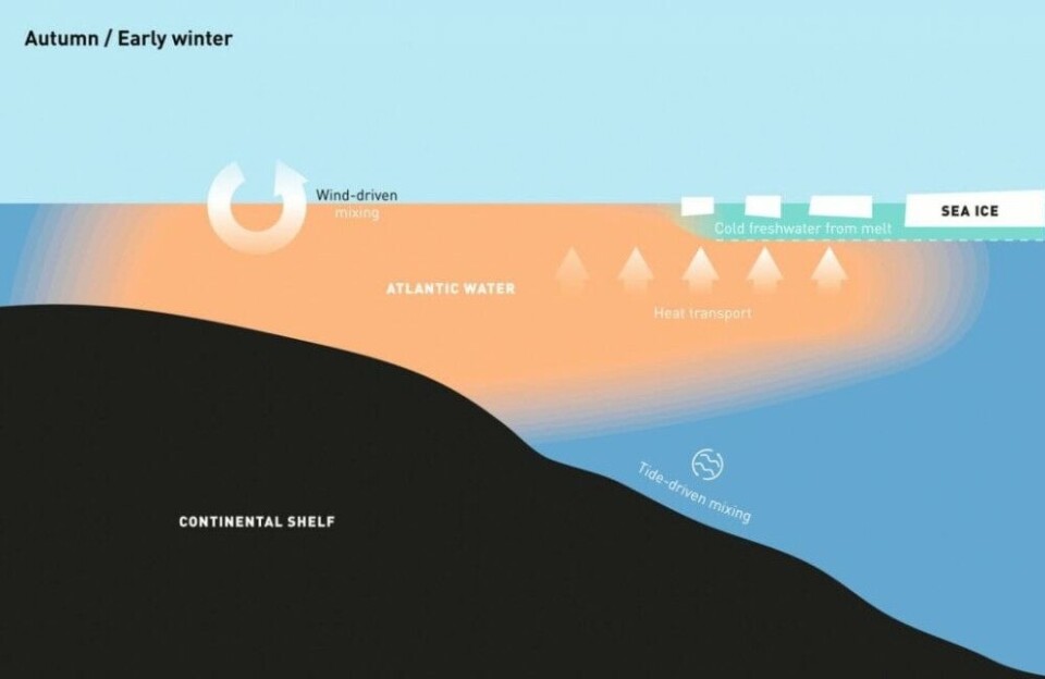 In late winter, this influx decreases and the surface water becomes colder. A dense ice cover usually forms that can encompass the whole north coast of Svalbard.
