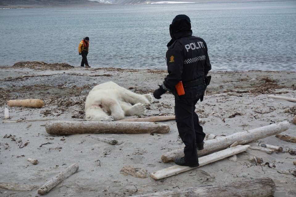 Photo: Gustav Arntsen / Governor of Svalbard