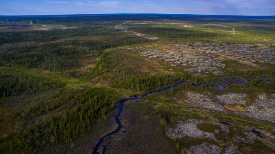 The Kolva river. Photo: Petr Shelomovsky