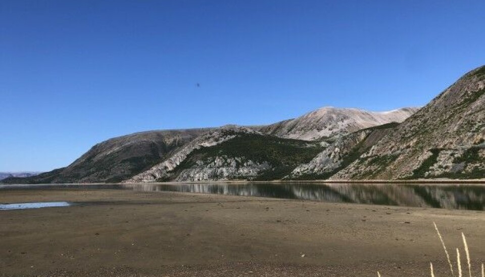 The Tanamunningen Nature Reserve is critical to various bird species that feed on sandeel. Dredging the passage would destroy the sandeel’s habitat. Photo: Hannah Thulé