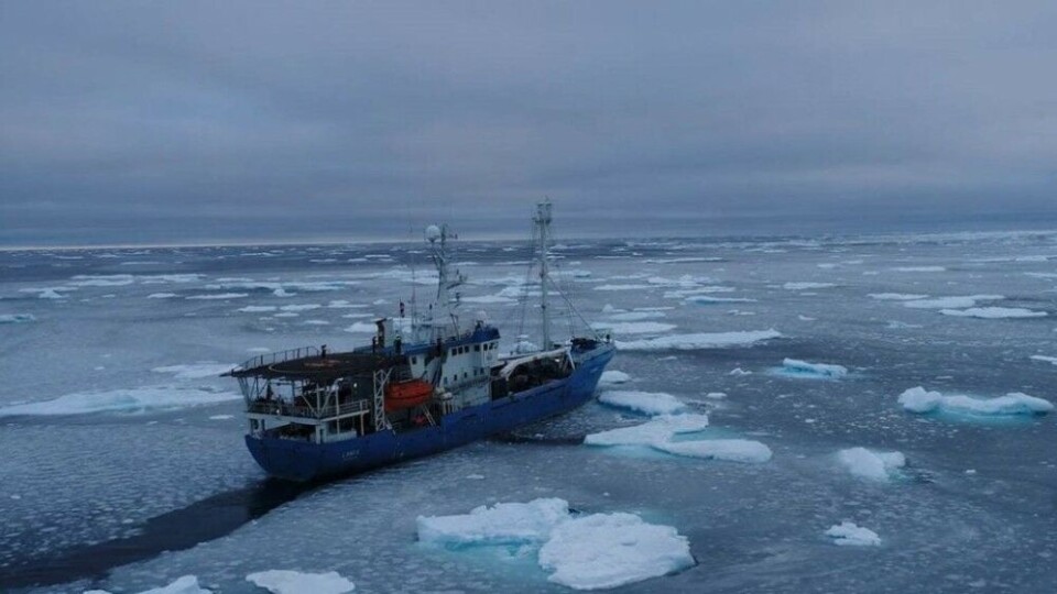 The Polar Institute’s former research vessel «Lance» on an expedition to the north of Svalbard. The influx of warm Atlantic water contributes to a thinning and more fragmented sea ice than in the past. (Photo: Norwegian Polar Institute)