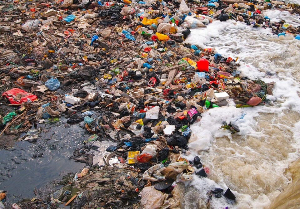 Maybe if products were made of bacterially produced plastic, they would decompose instead of floating around in nature forevermore. Photo: Colourbox