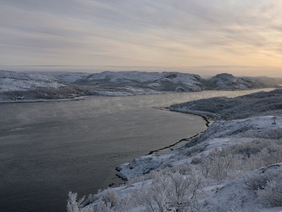 Pasvik, the river that tells the High North