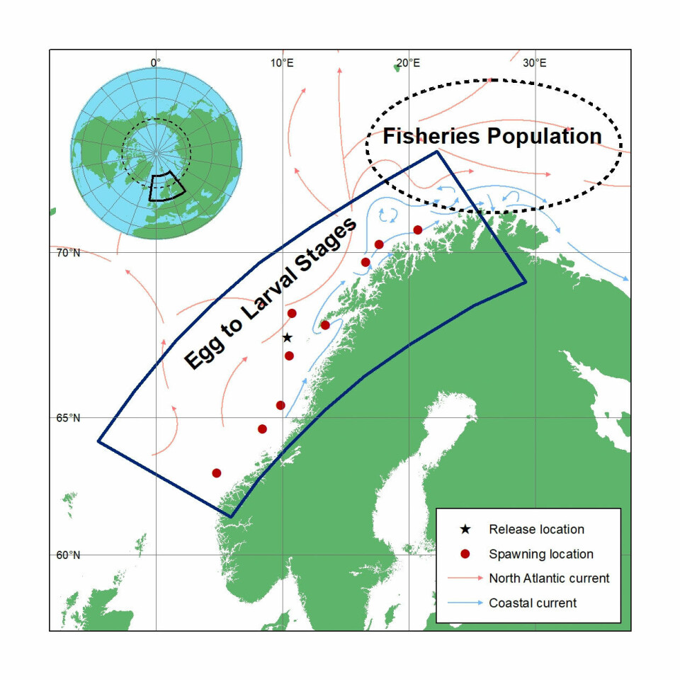 The model domain. The location of oil releases is 67.700N 10.841E (black star). Nine cod spawning locations are also highlighted (red dots). The inset graph shows the range of losses of cod biomass resulting from the application of four effects parameter sets (P1-P4) to cover a wide range of uncertainty in effects threshold values.