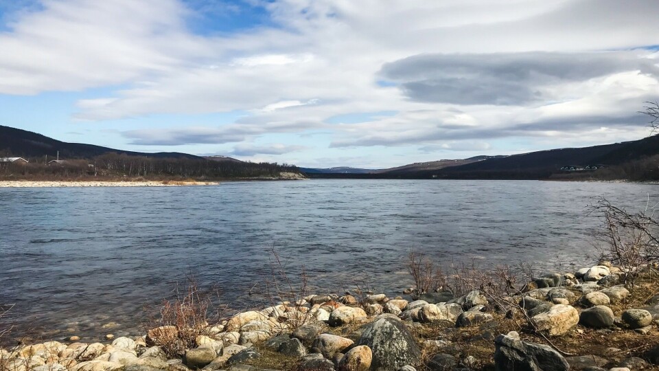Quiet on river Teno after Norwegian and Finnish authorities imposed a ban on fishing in bid to protect wild salmon. Photo: Saara-Maria Salonen