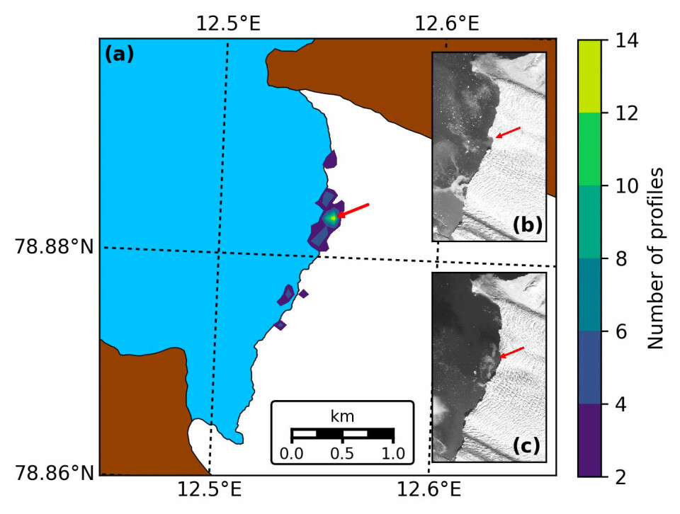 Locations of the seals’ dives. The main image shows the density of the seals’ dives close to the glacier terminus. Yellow colouring shows more than fourteen profiles collected in that location, decreasing to two dives in dark blue areas. Areas that are no