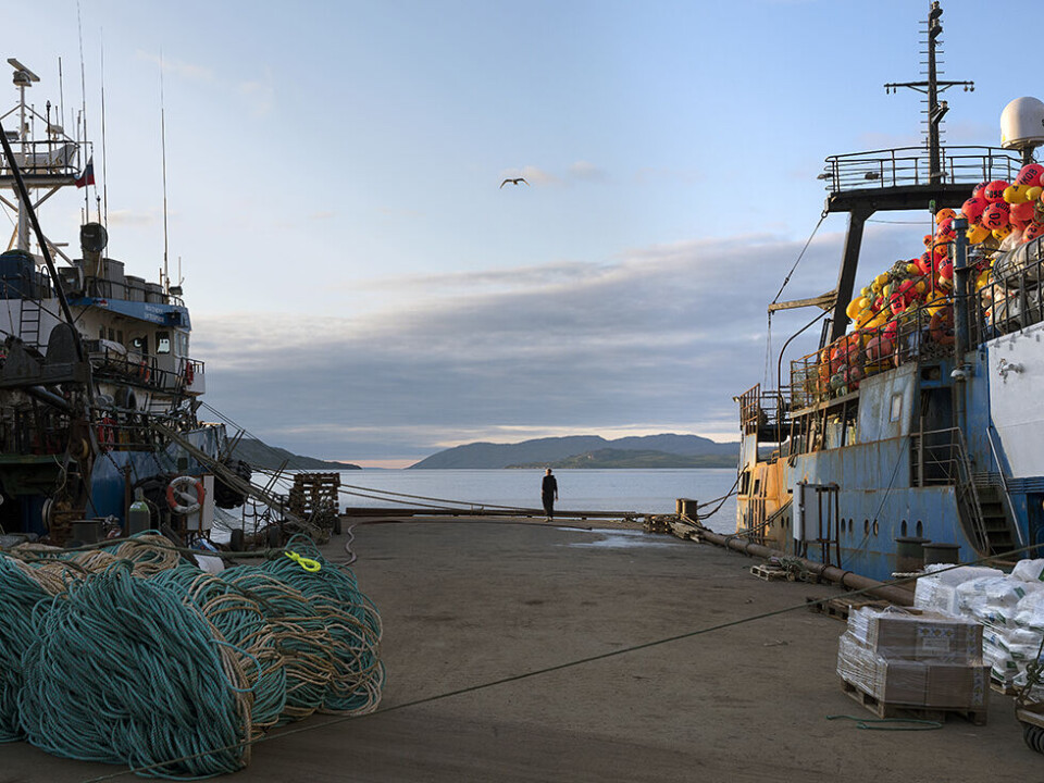 Russian crab trawlers moored at the port of Kirkenes, Norway. Photo: Céline Clanet