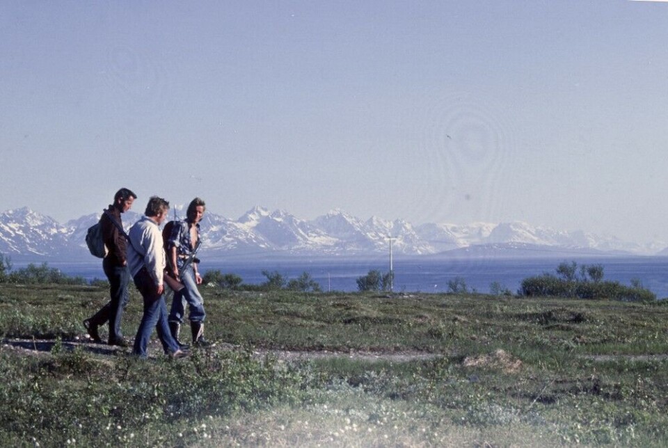 Gabrielsen did some of his first fieldwork in Karlsøy, where he used physiological telemetry to study how willow ptarmigans reacted to stress. Photo: Geir Wing Gabrielsen / Norwegian Polar Institute