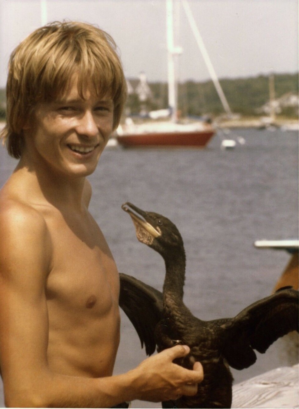 Gabrielsen visited California in 1979 to study diving physiology in seabirds. His tame cormorant “Willy” was fitted with a sensor. Photo: Geir Wing Gabrielsen / Norwegian Polar Institute