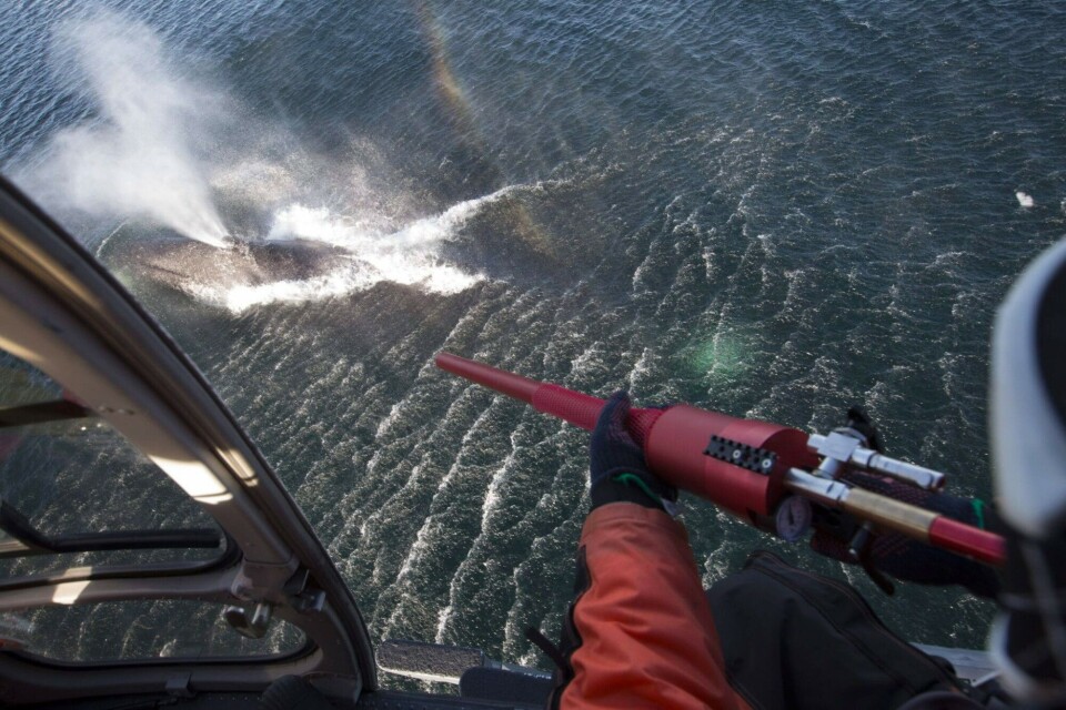 'Larger areas of ocean in the Arctic must be protected'