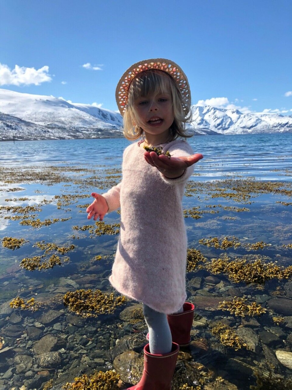 Children are fascinated by seaweed. Photo: Sanna Matsson / Akvaplan-niva