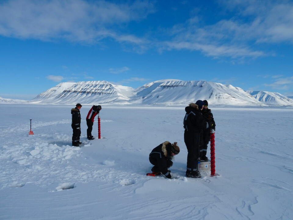Drilling ice cores to collect ice algae – one of the project’s main field activities. Photo: Eva Leu