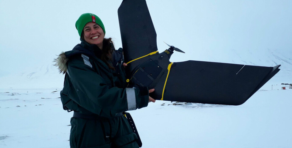 Drones are an important infrastructure to monitor landscape disturbances caused by geese. Photo: Virve Ravolainen