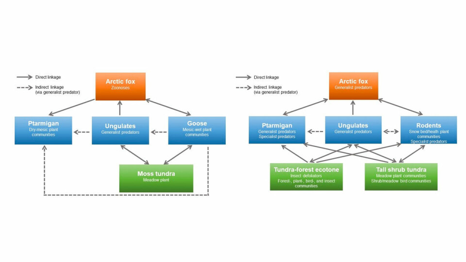 The food webs in Svalbard and on the Varanger Peninsula are represented by five and six monitoring modules, respectively. Examples of linkages within the modules include predator-prey and plant-herbivore interactions or competitive interactions. The monitoring targets in each module are listed within the boxes and the target that gives each module its name is written in bold.